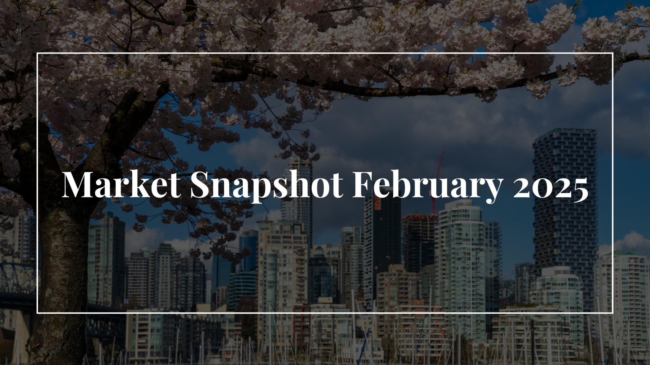 Quick Insights: Market Snapshot February 2025