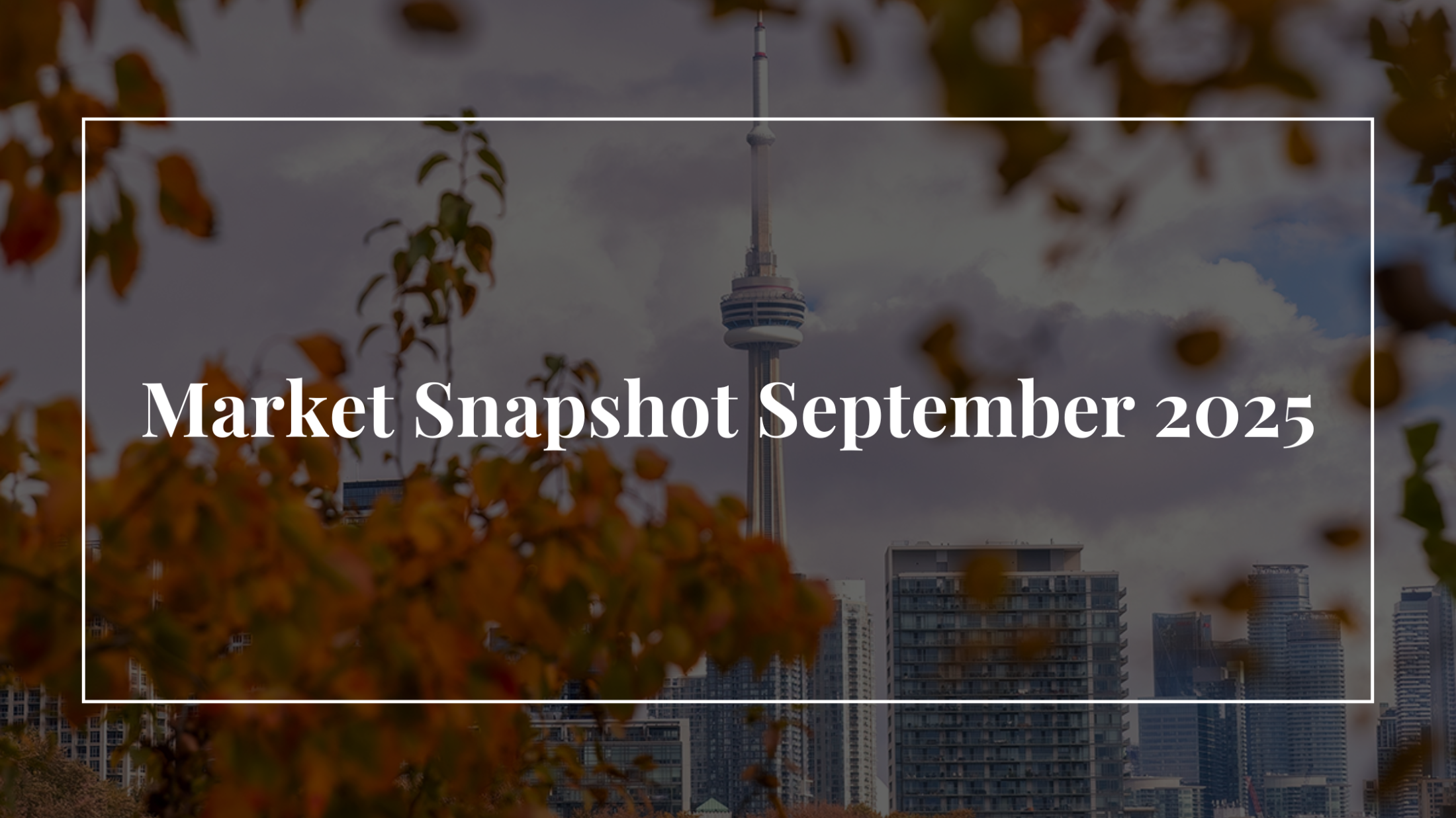 Buyers Are Back as Interest Rates Drop