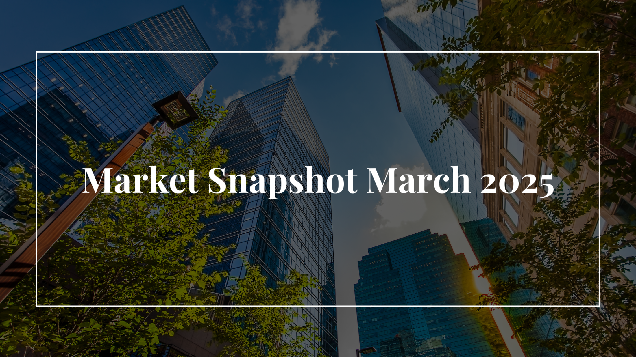 Quick Insights: Market Snapshot March 2025